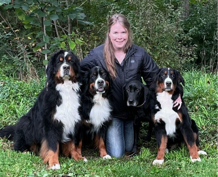Pet Care & Boarding in Franklin, WI Brentwood Animal Campus